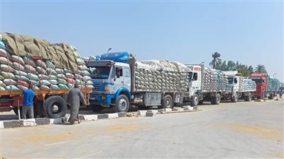 الفيوم: توريد 89216 طنًا من القمح للشون والصوامع والهناجر