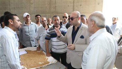 محافظ بني سويف يتابع سير العمل في منظومة توريد واستلام القمح المحلي