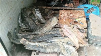 ضبط 165 كجم من الأسماك المملحة غير صالحة للاستهلاك الآدمي في أسوان