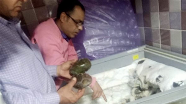 حملات على الأسواق