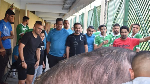 ذبح عجل في إيسترن