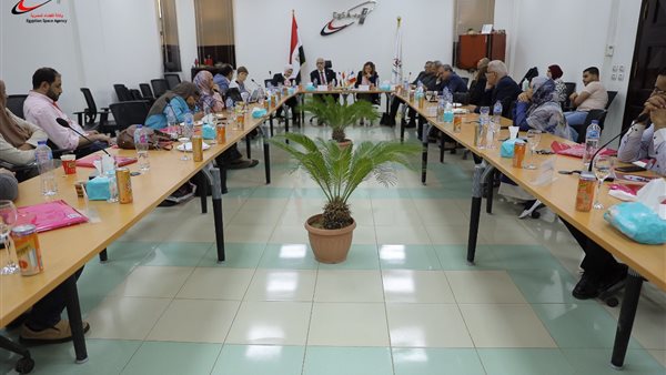 وكالة الفضاء المصرية