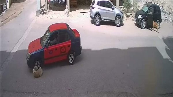 سائق تاكسي يتعمد