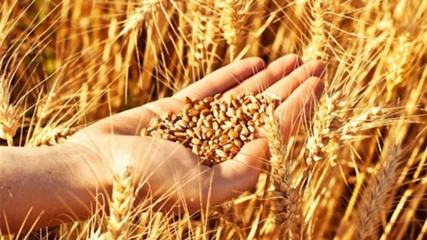 الأمن الغذائي 