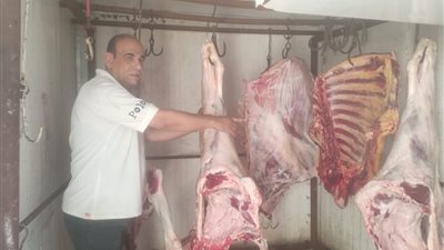 ضبط لحوم غير صالحة للاستهلاك الآدمي في البحيرة | صور