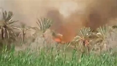 التهم 20 فدانا.. السيطرة على حريق هائل بمزرعة نخيل وزيتون غرب مطروح