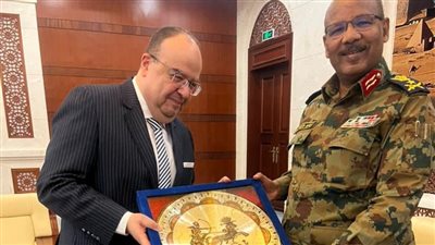 مصر ترفع ضخ الكهرباء إلى السودان لأكثر من 4 أضعاف 