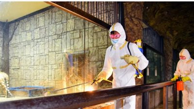 وكالة يونهاب: كوريا الشمالية تسجل أكثر من 200 ألف إصابة بـ