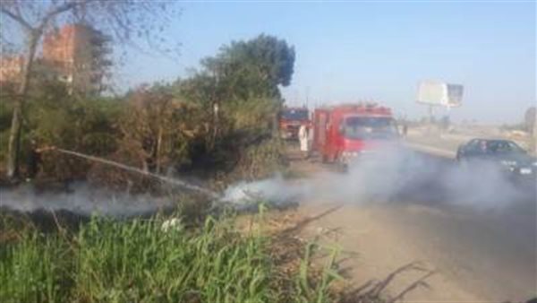 الصورة ـ أرشيفية