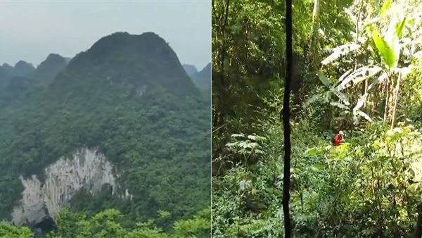 غابة صينية تحت الأرض