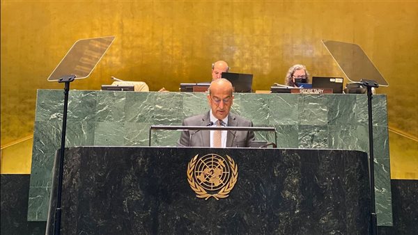 مندوب مصر بالأمم
