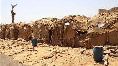 محافظ المنيا: توريد 309 ألف طن قمح إلى الشون والصوامع