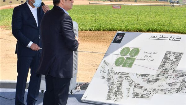 مشروع مستقبل مصر