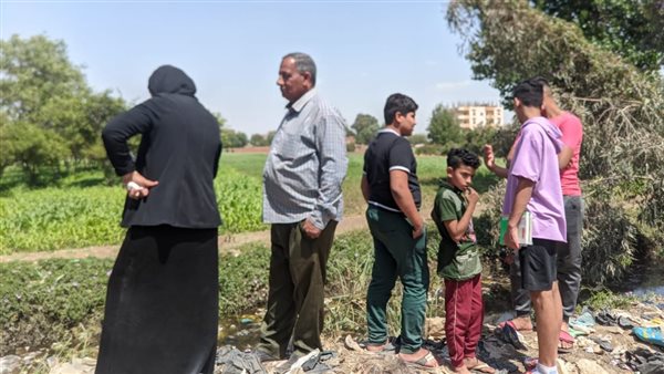 سقوط تمساح في ترعة