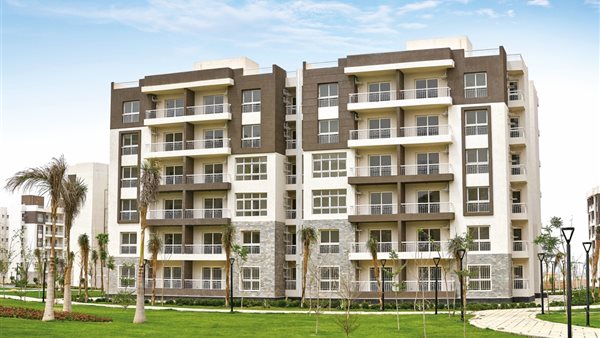 صورة من أرض الواقع