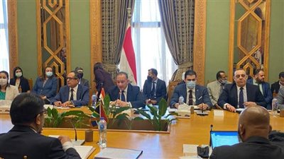 مصر تترأس اجتماعات كبار المسئولين في إطار اللجنة المشتركة مع جنوب إفريقيا | صور