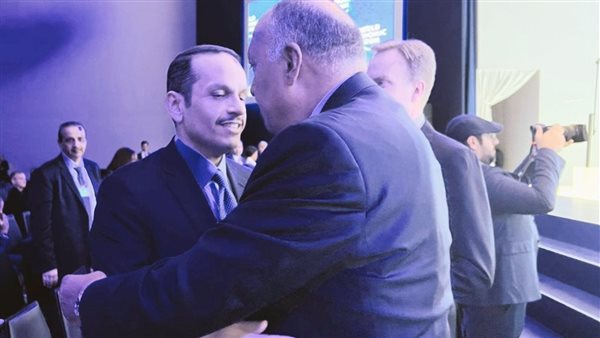 شكري ونظيره القطري