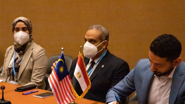 الدكتور تامر عصام