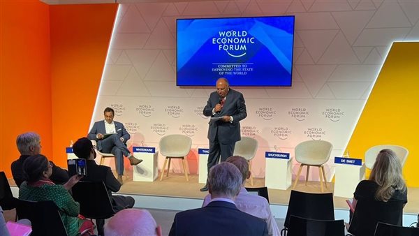 سامح شكري وزير الخارجية