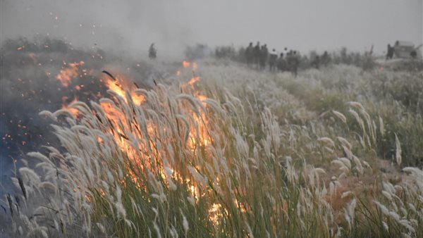  عناصر داعش تحرق