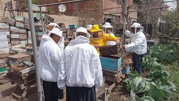 مشروع عسل النحل