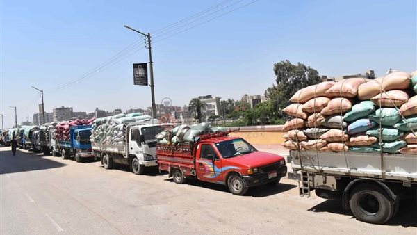 توريد القمح بالمنيا