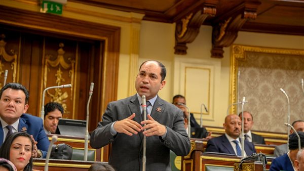 عمرو درويش امين سر