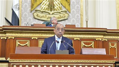 وزير التنمية بمجلس النواب: توجيهات رئاسية برفع كفاءة وتطوير المجازر الحكومية