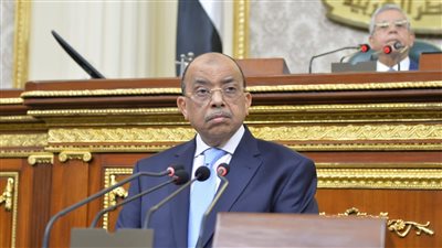 وزير التنمية المحلية: انتهى زمن التعديات على الأراضي الزراعية.. والدولة ستواجه الزحف العمراني بكل حزم