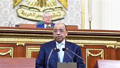 شعراوي: 14 مليار جنيه حصيلة أعمال تقنين أراضي الدولة و19 ألف طلب جاد 