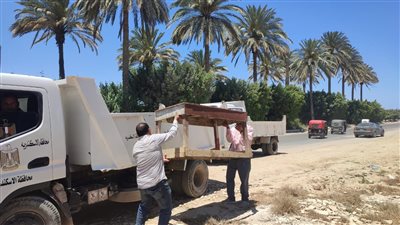 غلق 62 منشأة مخالفة وتحرير 676 محضرًا في حملات مكبرة بالإسكندرية 