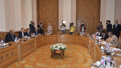 انطلاق جلسة مشاورات سياسية بين مصر وجنوب إفريقيا برئاسة وزيري الخارجية | صور
