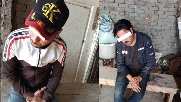 عصابة سرقة المواشي