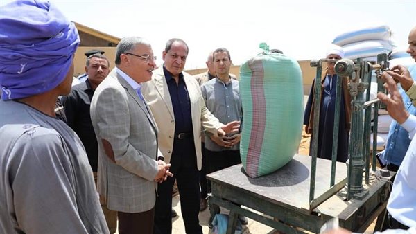 محافظ المنيا 