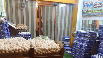 بعد ارتفاع أسعاره.. الغرف التجارية تطالب ببورصة وتاريخ صلاحية للتحكم في أسعار البيض