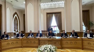 انطلاق جلسة مباحثات ثنائية بين وزير الخارجية ونظيره القبرصي |صور