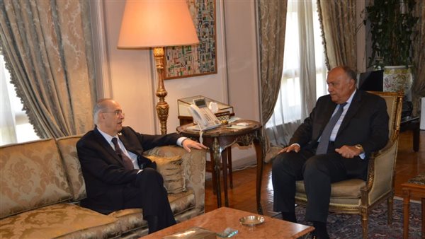 شكري ونظيره القبرصي