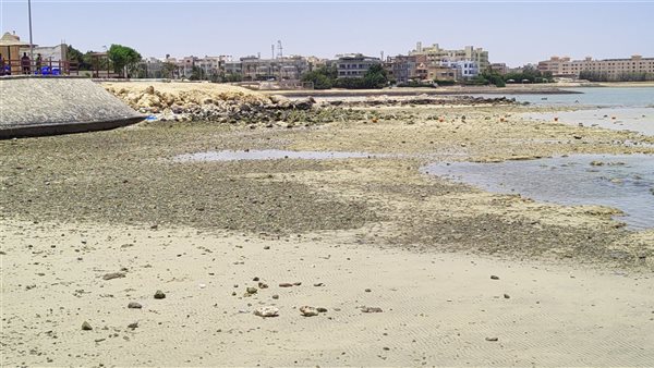 تراجع مياه شواطئ