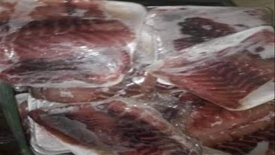 تحرير 50 محضرًا تموينيًا خلال 72 ساعة ببورسعيد 