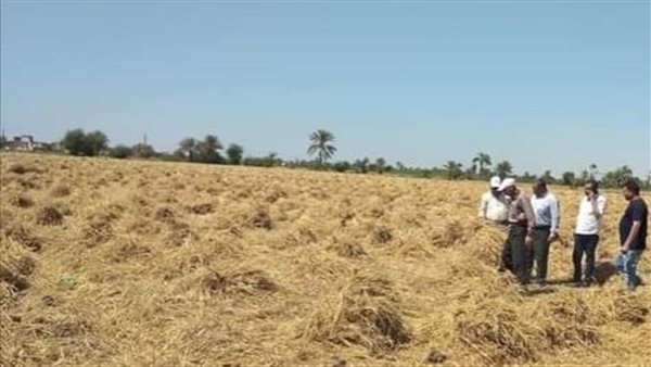 لجان مشتركة من الزراعة