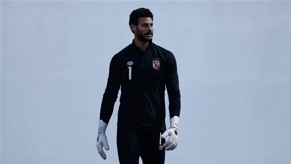 محمد الشناوي 