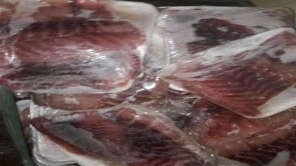 جانب من المضبوطات