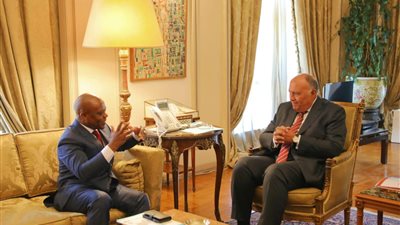 وزير الخارجية يستقبل سكرتير عام منظمة الدول الثماني النامية للتعاون الاقتصادي‬