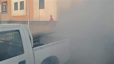 العاشر من رمضان تستعين بسيارات الرش لـ مكافحة الناموس | صور