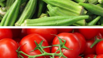 سعر كيلو الطماطم يقفز 6 جنيهات بالأسواق