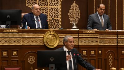 تعود لـ فبراير 2017.. وزير التموين يوضح رسالته للرئيس السيسي بشأن توفير السلع الغذائية