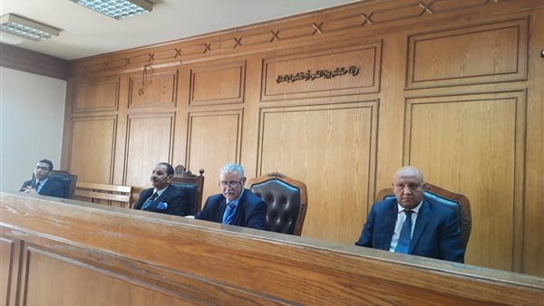 المستشار محمد حسنى