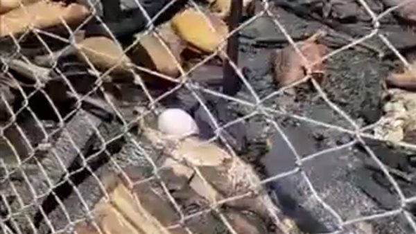 جانب من آثار الحريق