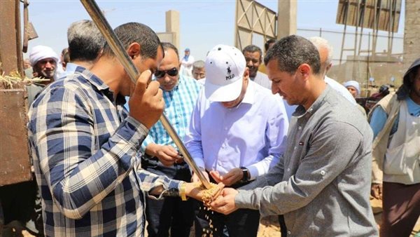 محافظ المنيا