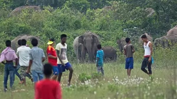 مكان الحادث